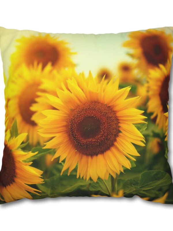 Yellow Sunflower Euro Shams
